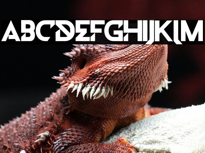 DiletoFREE Example 2