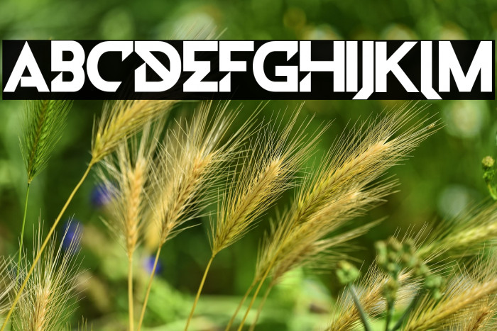 DiletoFREE Example 3