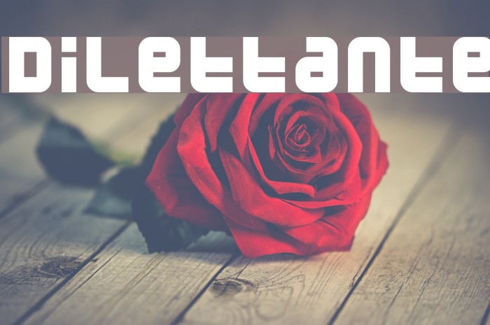Dilettante Font examples