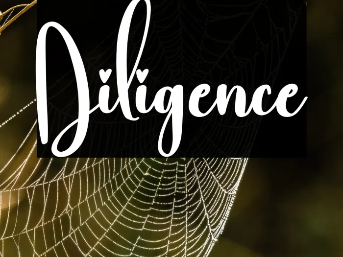 Diligence Example 1