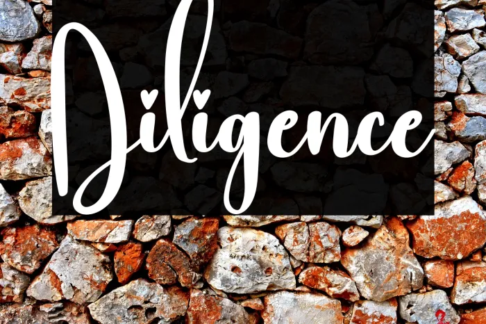 Diligence Example 2