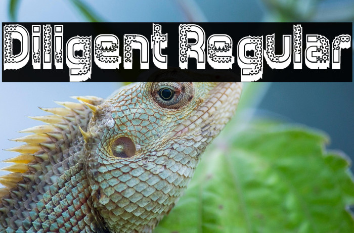 Diligent Regular Example 1