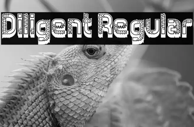 Diligent Regular Font examples