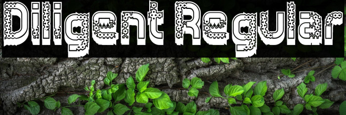 Diligent Regular Example 3