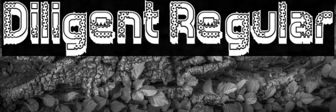 Diligent Regular Font examples