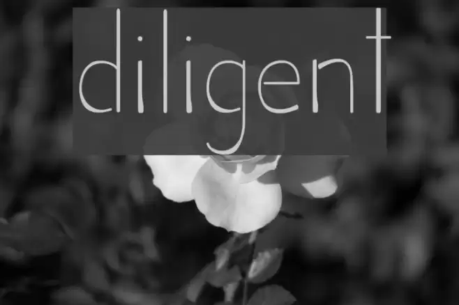 Diligent Font examples