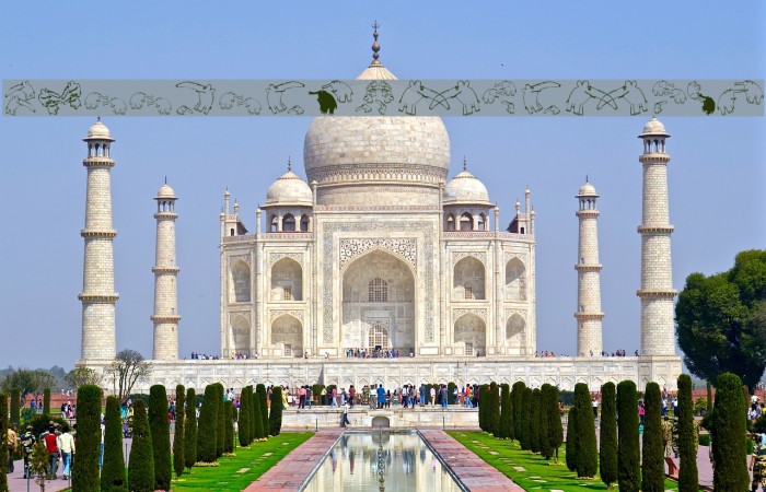 DillElefantenTwo Example 2