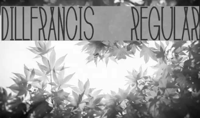 DillFrancis-Regular Font examples