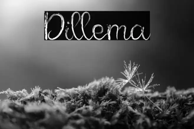 Dillema Example 1