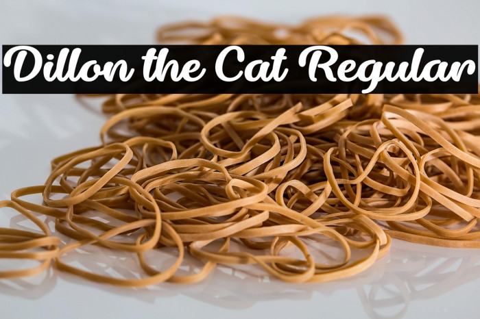 Dillon the Cat Regular Example 2