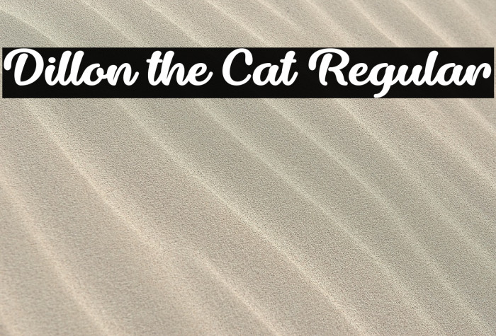 Dillon the Cat Regular Example 3