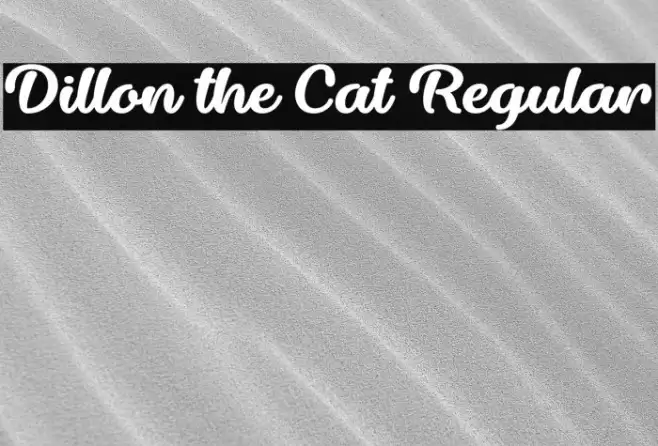 Dillon the Cat Regular Example 3
