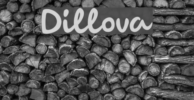 Dillova Example 2