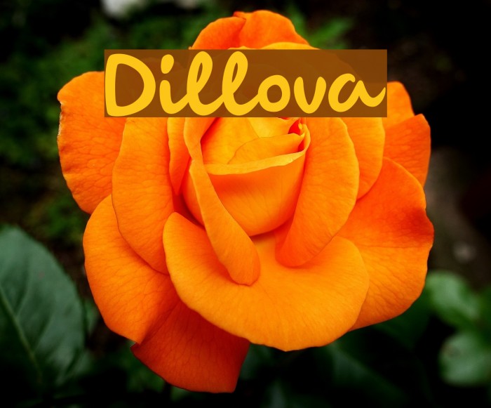 Dillova Font examples