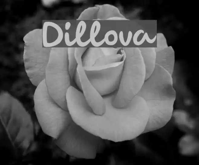 Dillova Example 3