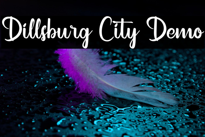 Dillsburg City Demo Example 1