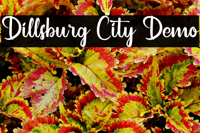 Dillsburg City Demo Example 3
