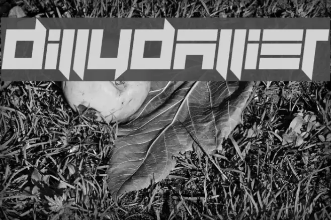 Dillydallier Example 1