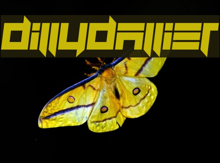 Dillydallier Font examples