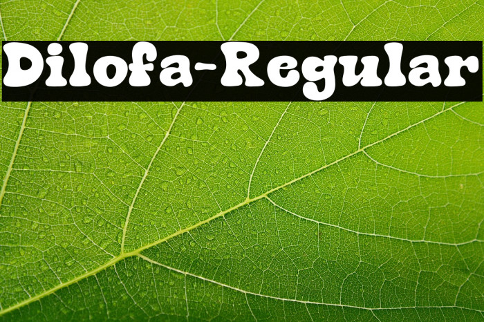 Dilofa-Regular Example 1