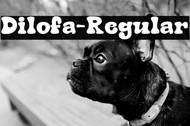 Dilofa-Regular Font examples