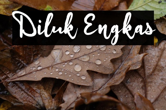 Diluk Engkas Example 3