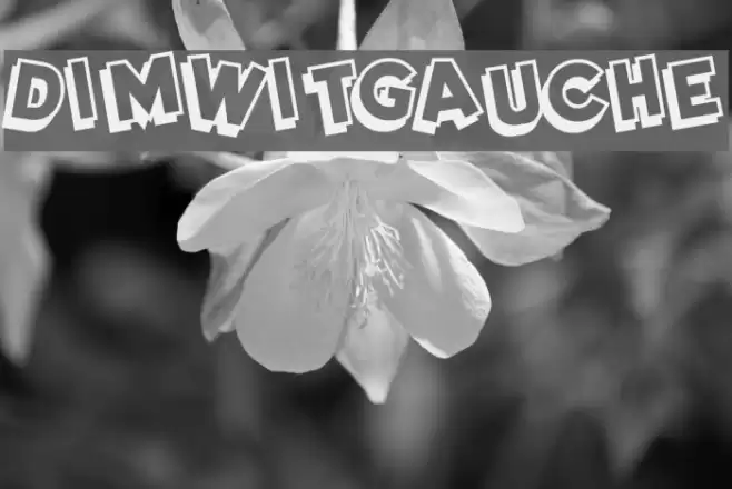 DimWitGauche Font examples