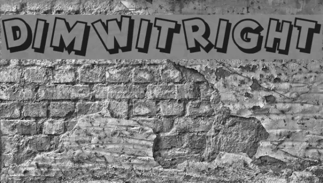 DimWitRight Font examples