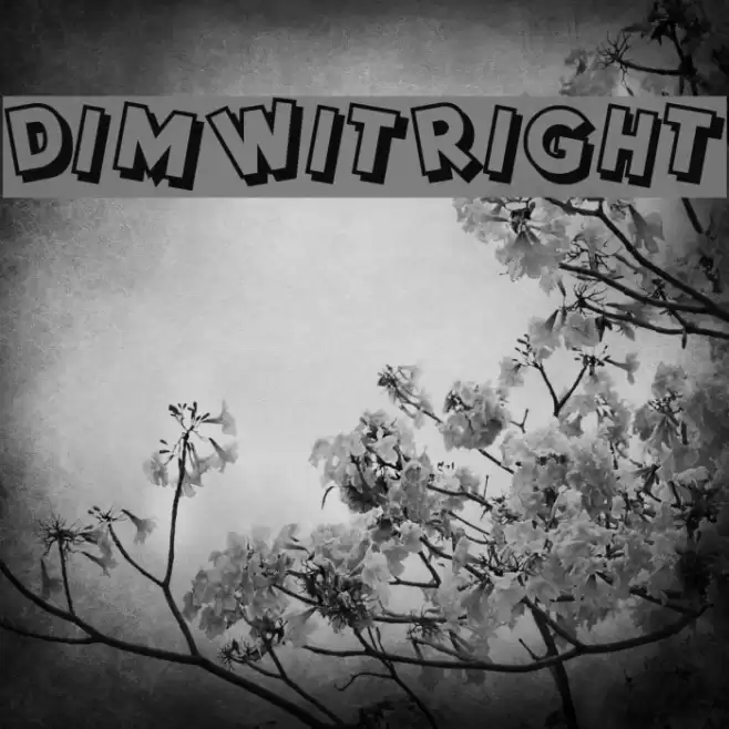 DimWitRight Font examples