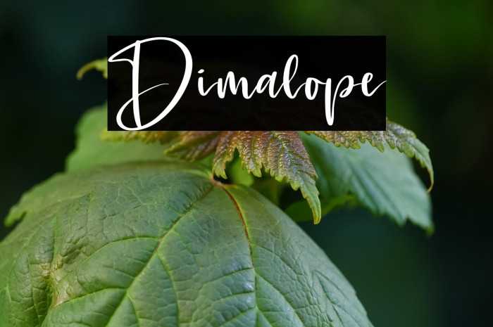 Dimalope Example 2