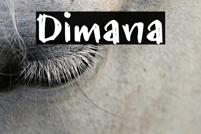 Dimana Example 3