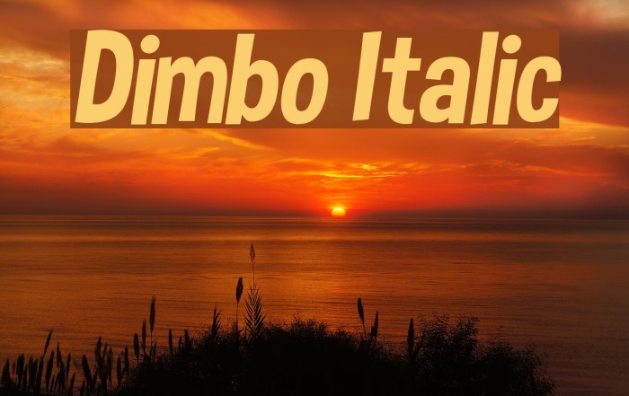 Dimbo Italic Font examples