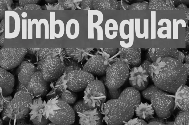 Dimbo Regular Font examples