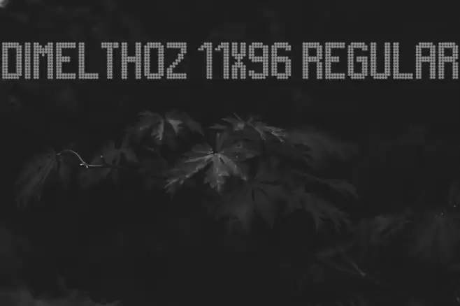 Dimelthoz 11x96 Regular Font examples