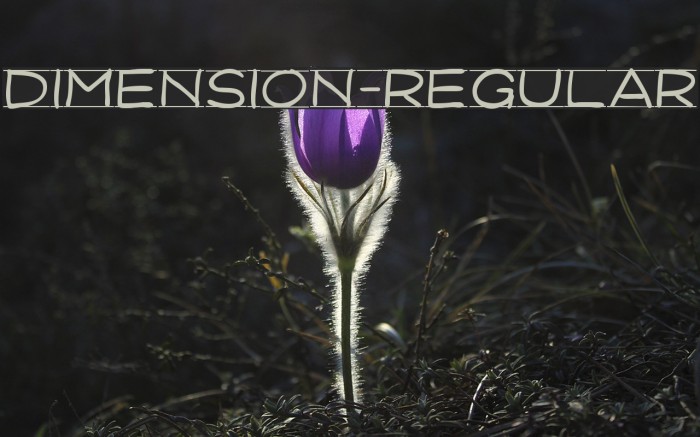 Dimension-Regular Example 2