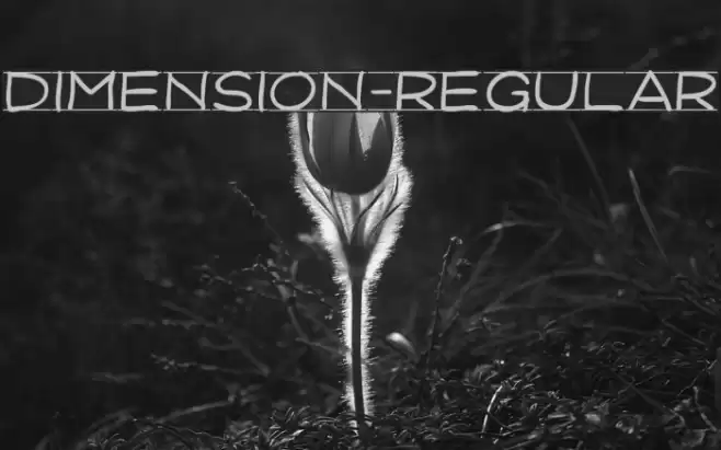 Dimension-Regular Font examples