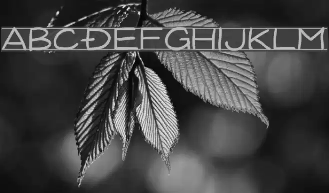 Dimension Font examples