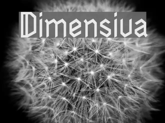Dimensiva Example 3