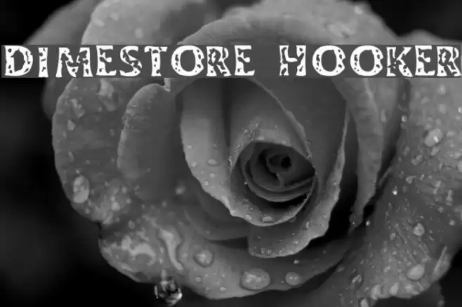 Dimestore Hooker Font examples