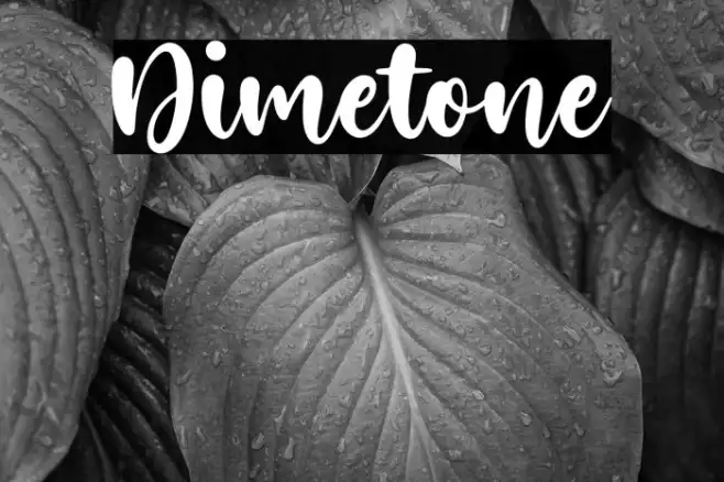 Dimetone Example 1