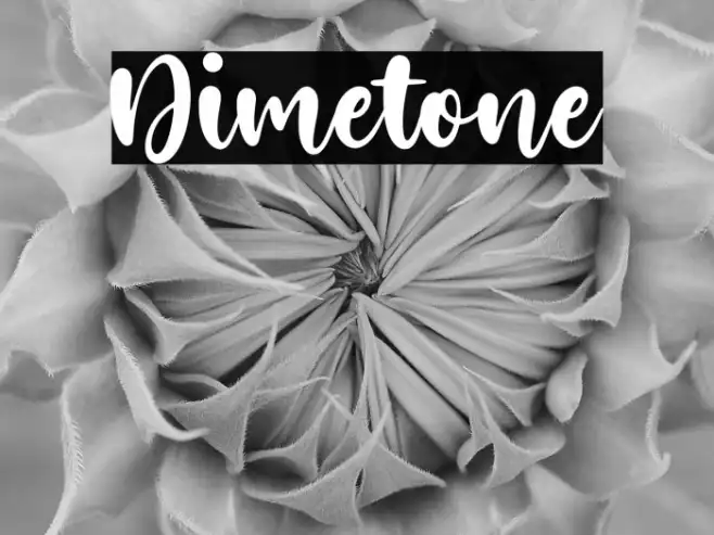 Dimetone Example 3