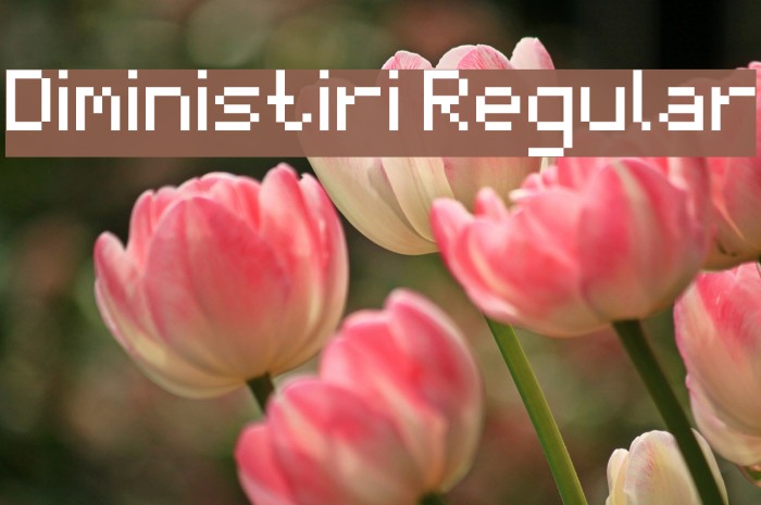 Diministiri Regular Example 3