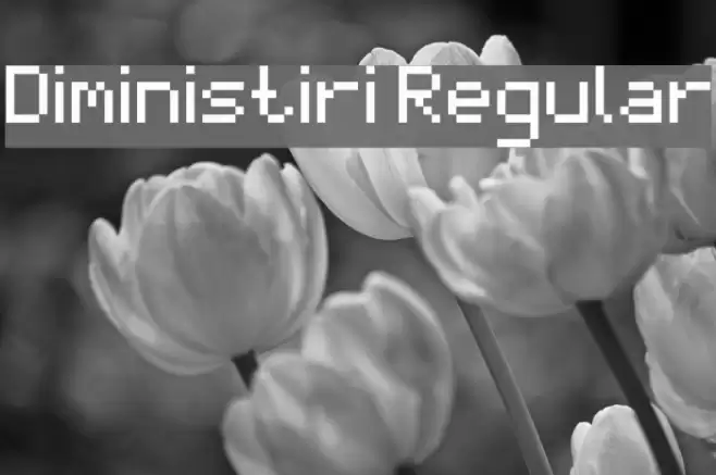 Diministiri Regular Font examples