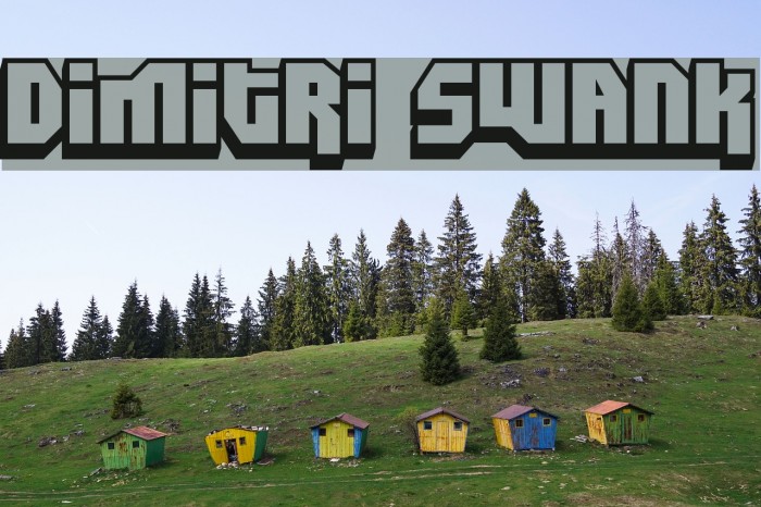 Dimitri Swank Font examples