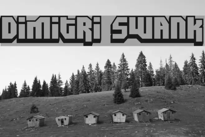 Dimitri Swank 字体 examples