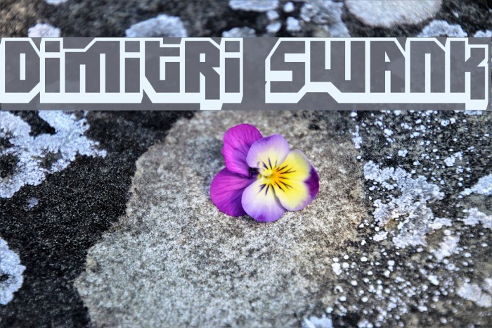 Dimitri Swank Font examples