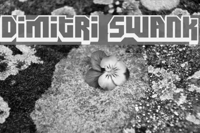 Dimitri Swank 字体 examples