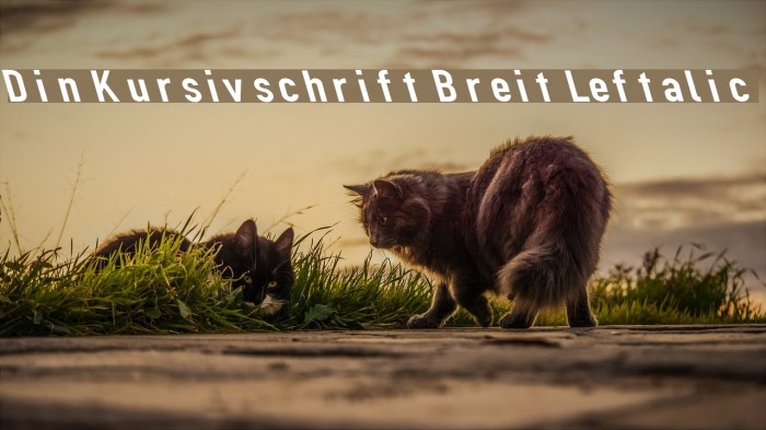 Din Kursivschrift Breit Leftalic Font examples