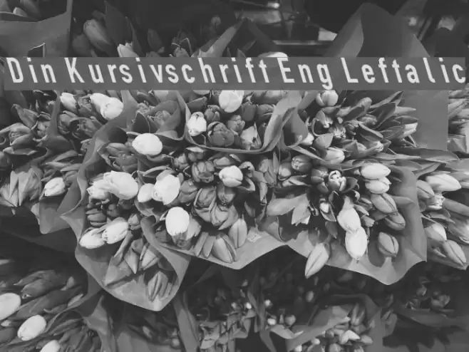 Din Kursivschrift Eng Leftalic Font examples