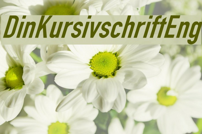 Din Kursivschrift Eng Font examples